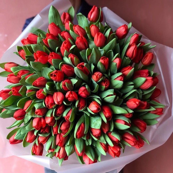 101 красный тюльпан в Владивостоке