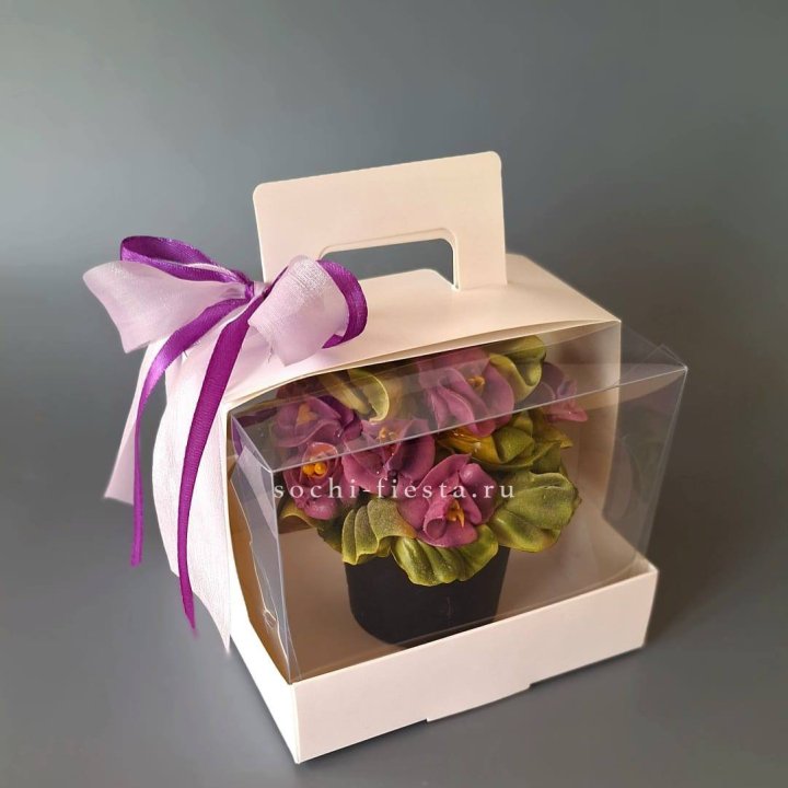  Зефир "Фиалка" в Владивостоке